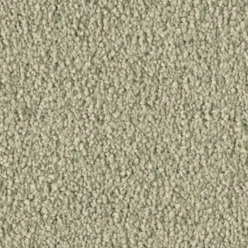 Vorwerk Violetta 8L43 – Draufsicht Teppichboden Farbe 8L43 ohne Badge